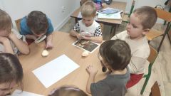 pp8signal 2026 03 23 08 31 35