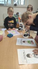 signal 2026 03 23 08 32 13