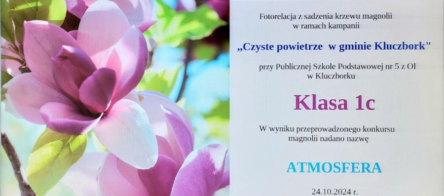 1000088688 1000088688