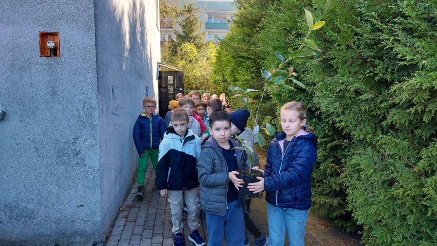 1000088699 1000088699