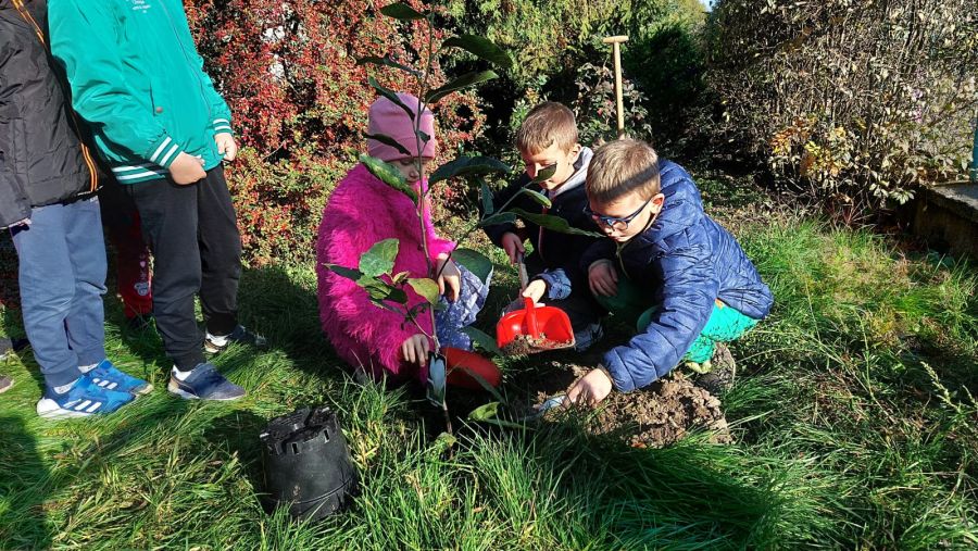 1000088706 1000088706