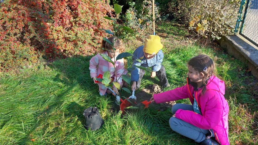 1000088707 2   1000088707 2