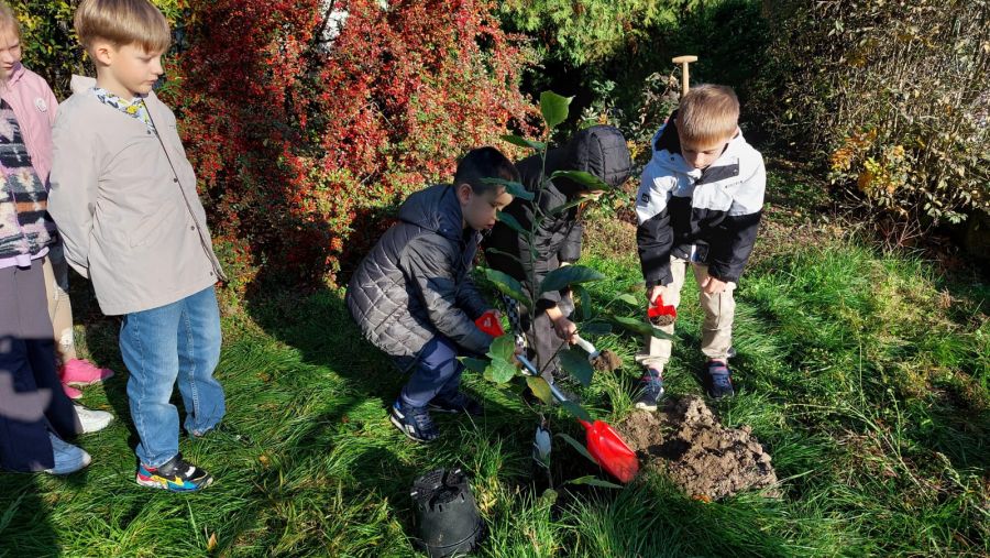 1000088709 1000088709