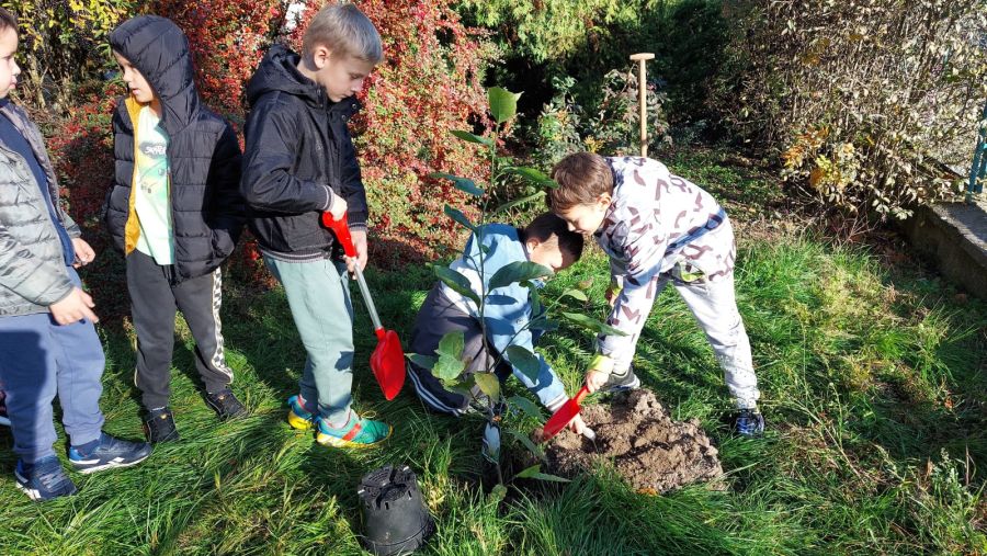 1000088710 1000088710