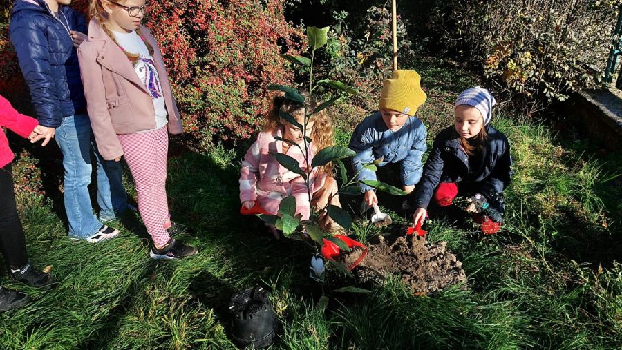 1000088713 1000088713