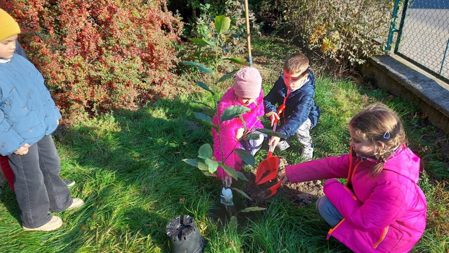 1000088715 1000088715