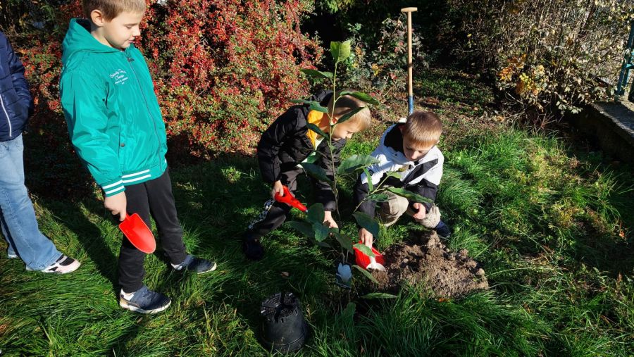 1000088722 1000088722