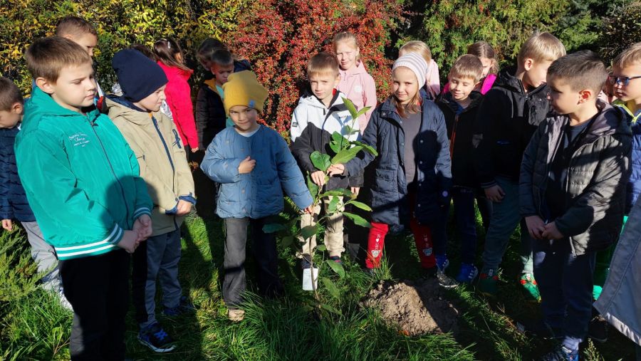 1000088725 1000088725