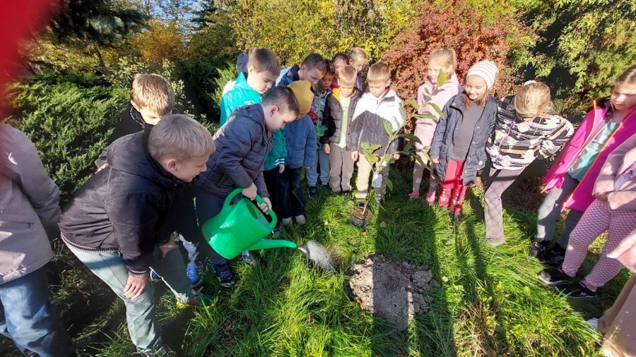 1000088728 1000088728