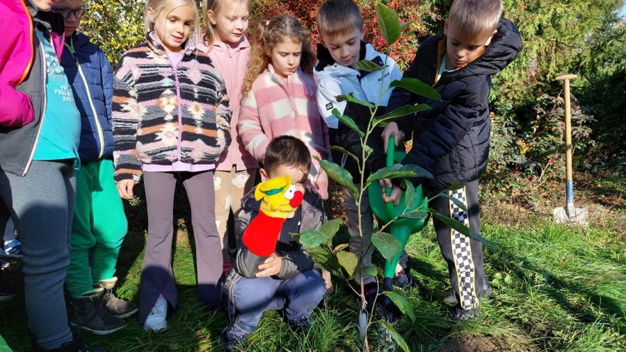 1000088730 1000088730