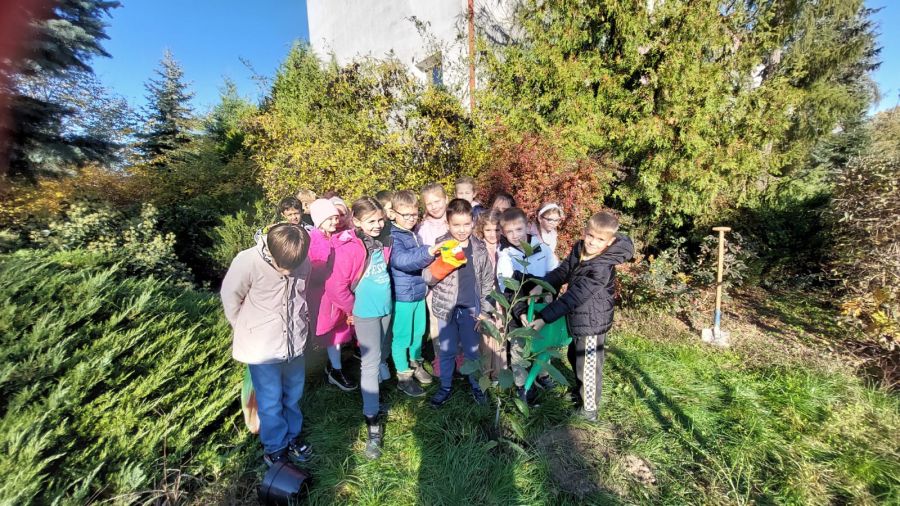 1000088731 1000088731