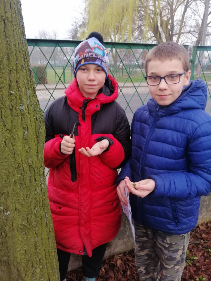 IMG 20240306 145320 IMG 20240306 145320