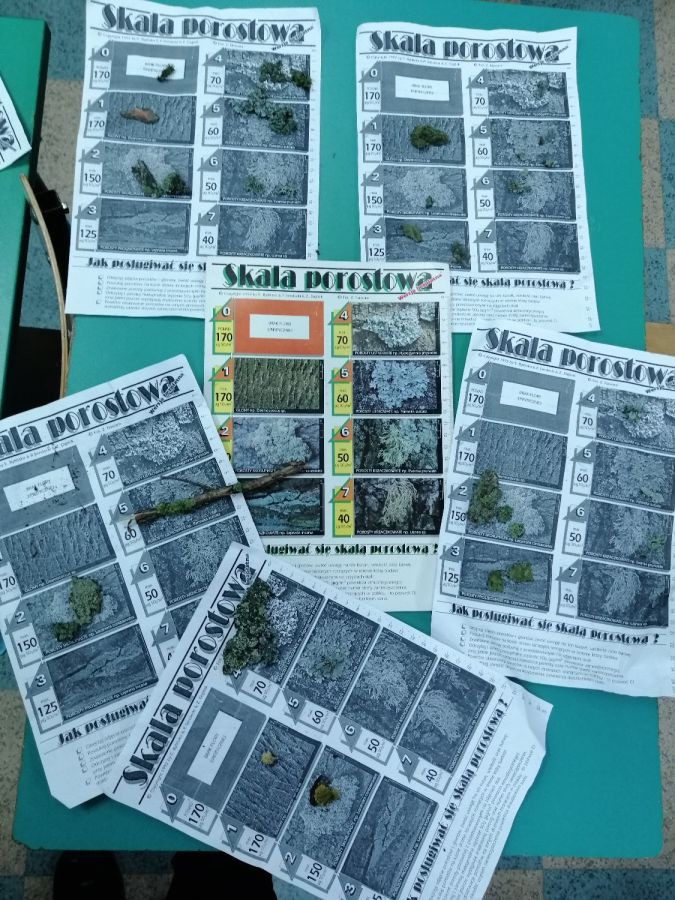 IMG 20240306 151442 IMG 20240306 151442