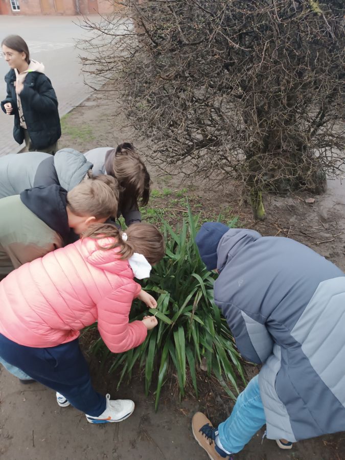 IMG 20240312 161157 IMG 20240312 161157