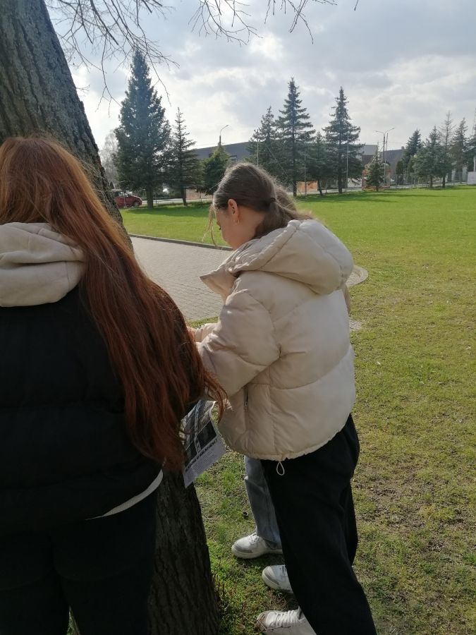 IMG 20240314 131801 IMG 20240314 131801