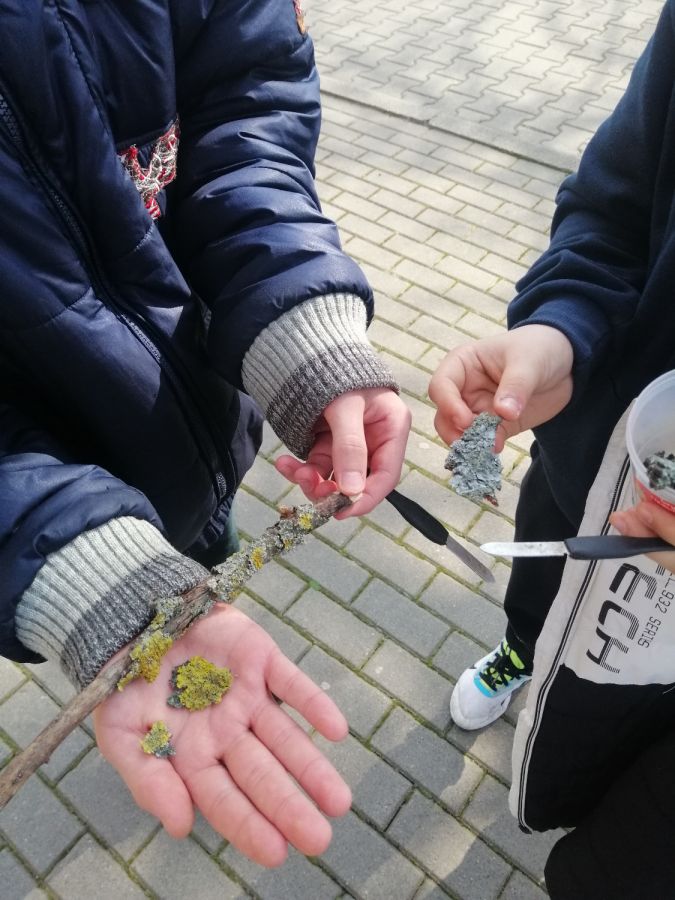 IMG 20240314 131855 IMG 20240314 131855