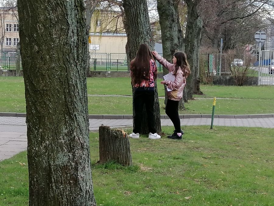 IMG 20240318 150217 IMG 20240318 150217