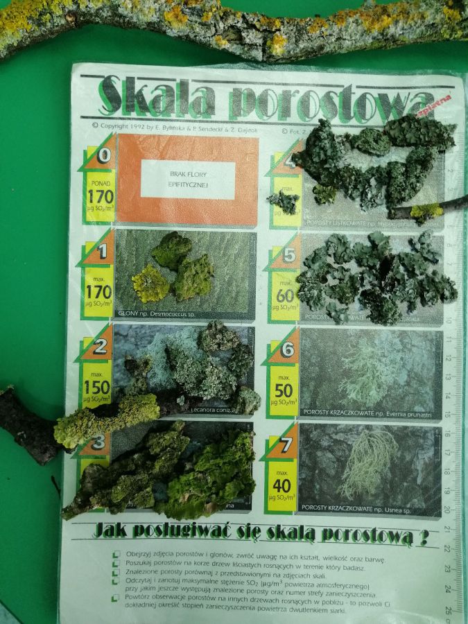 IMG 20240318 152050 IMG 20240318 152050