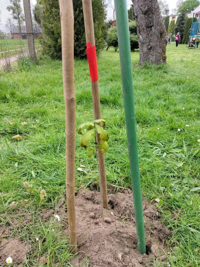 IMG 20240424 WA0011 IMG 20240424 WA0011