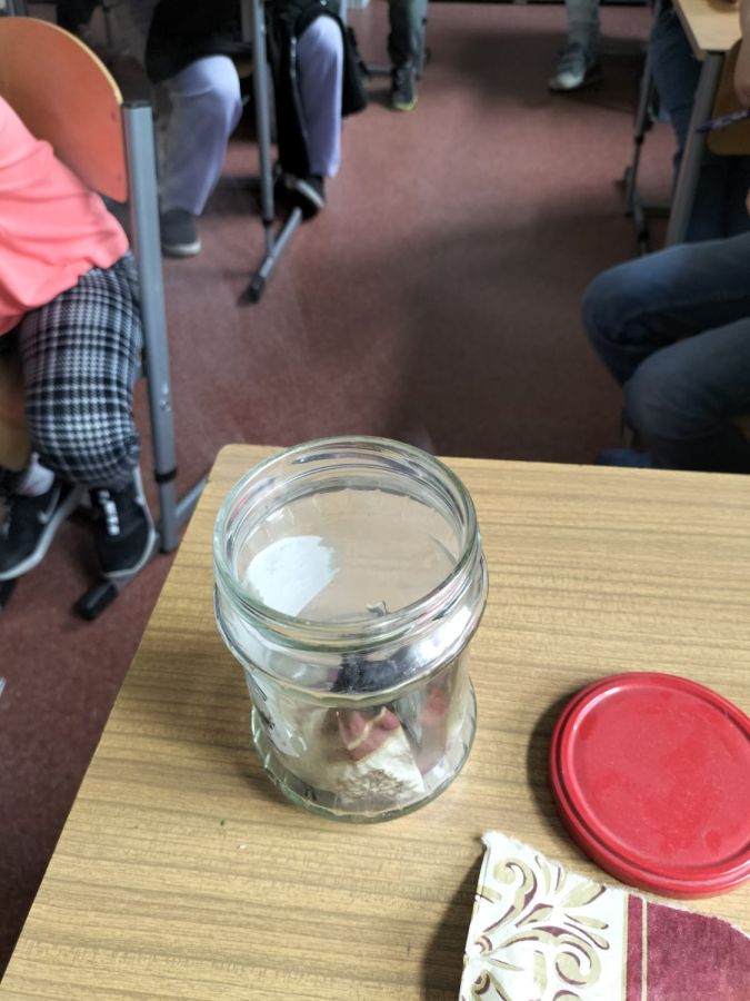 IMG 20240424 WA0013 IMG 20240424 WA0013