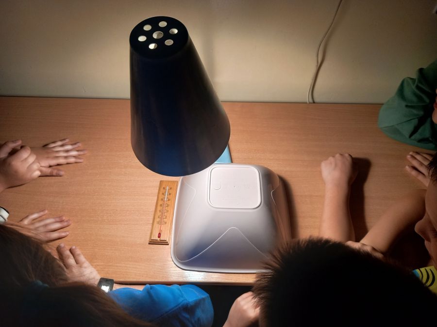 20240523 083202 20240523 083202