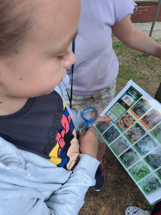 WhatsApp 20Image 202024 06 02 20at 2022.32.17 WhatsApp 20Image 202024 06 02 20at 2022.32.17