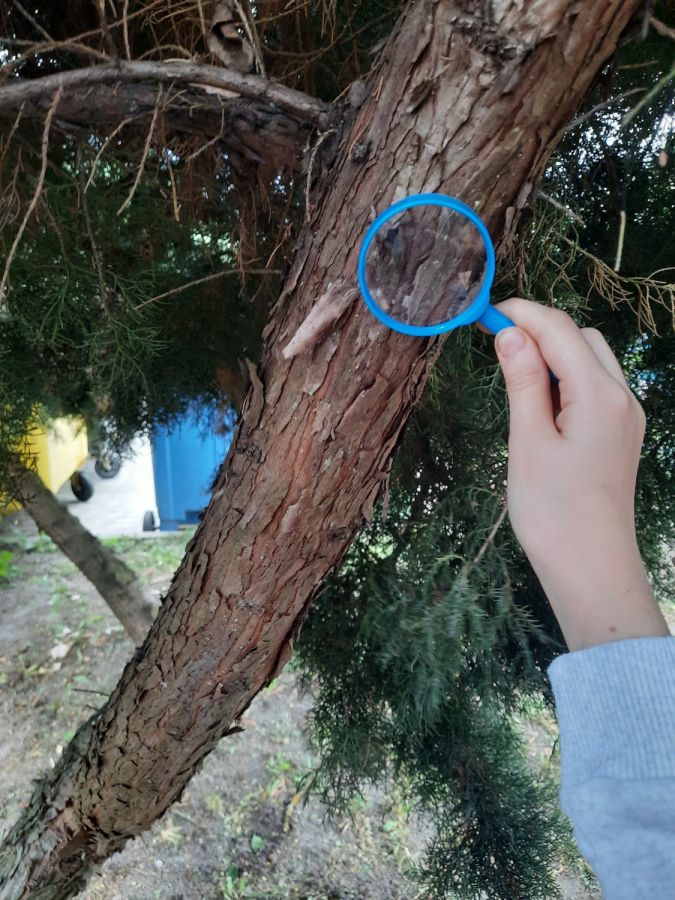 WhatsApp 20Image 202024 06 02 20at 2022.32.17 20 1  WhatsApp 20Image 202024 06 02 20at 2022.32.17 20 1