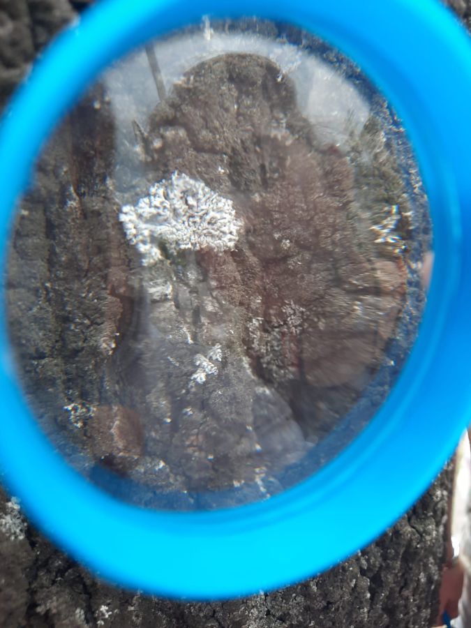 WhatsApp 20Image 202024 06 02 20at 2022.32.17 20 3  WhatsApp 20Image 202024 06 02 20at 2022.32.17 20 3