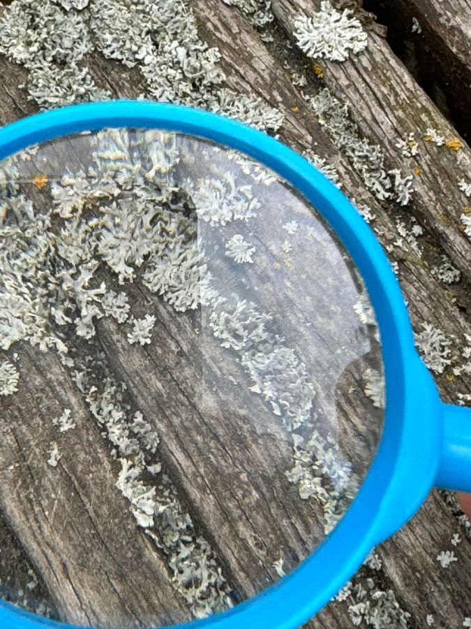 WhatsApp 20Image 202024 06 02 20at 2022.32.18 WhatsApp 20Image 202024 06 02 20at 2022.32.18