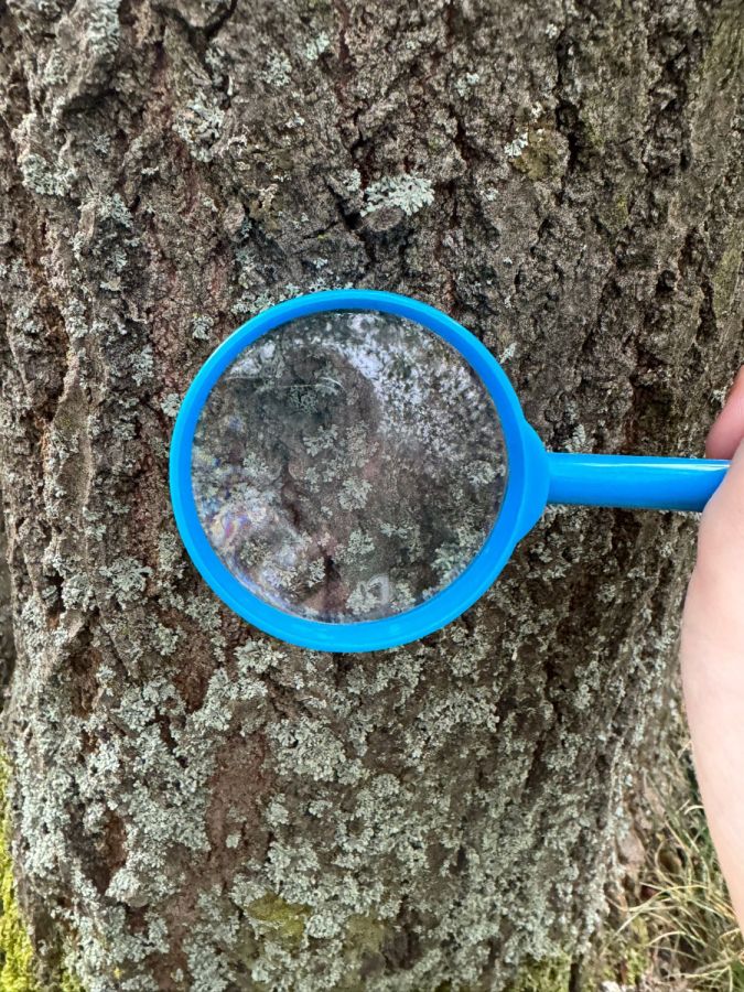 WhatsApp 20Image 202024 06 02 20at 2022.32.18 20 1  WhatsApp 20Image 202024 06 02 20at 2022.32.18 20 1