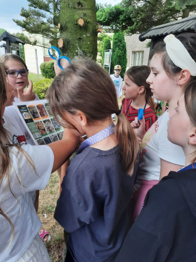 WhatsApp 20Image 202024 06 02 20at 2022.32.19 20 1  WhatsApp 20Image 202024 06 02 20at 2022.32.19 20 1