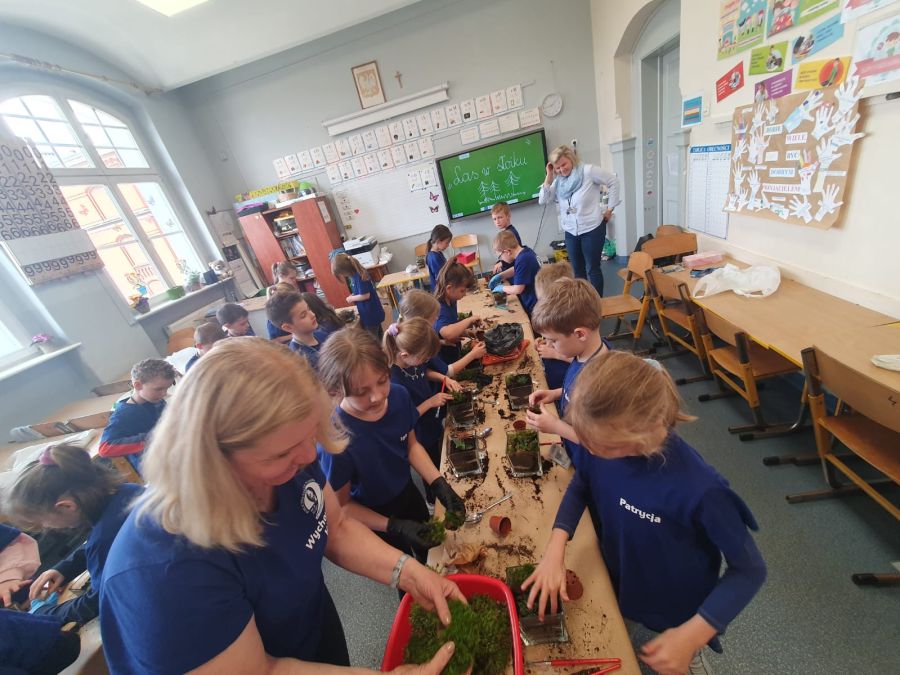 Zdj  cie WhatsApp 2024 04 25 o 14.48.11 1a81d7af Zdj  cie WhatsApp 2024 04 25 o 14.48.11 1a81d7af