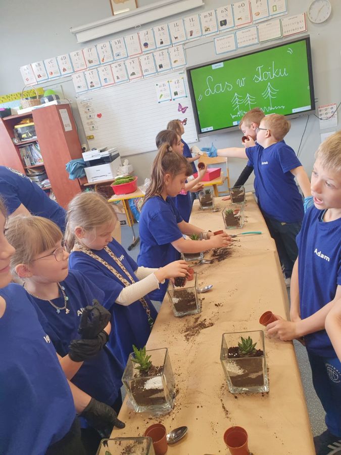 Zdj  cie WhatsApp 2024 04 25 o 14.48.11 6971c4a4 Zdj  cie WhatsApp 2024 04 25 o 14.48.11 6971c4a4