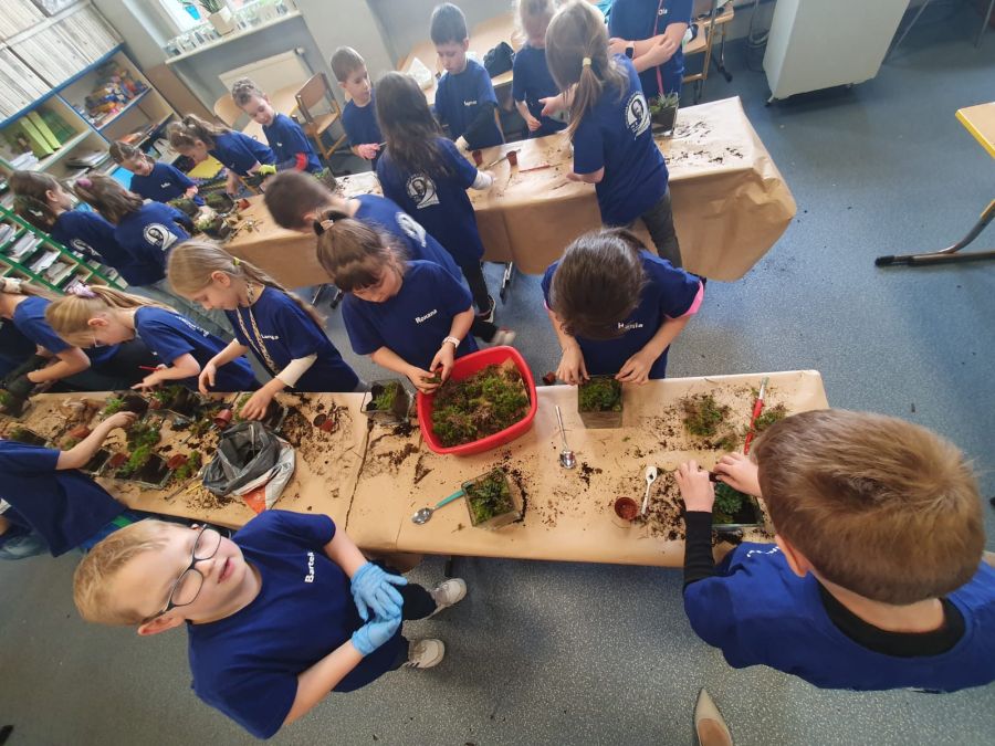 Zdj  cie WhatsApp 2024 04 25 o 14.48.12 558ba2ea Zdj  cie WhatsApp 2024 04 25 o 14.48.12 558ba2ea