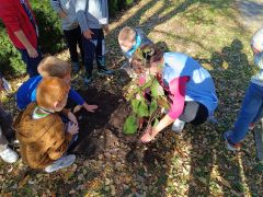 1729664159465 1729664159465