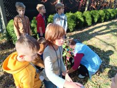 1729664159486 1729664159486