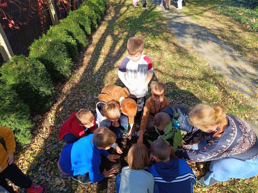 1729664159502 1729664159502