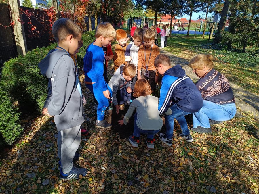 1729664159517 1729664159517