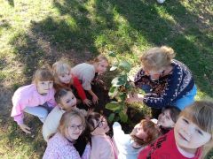 1729664360960 1729664360960