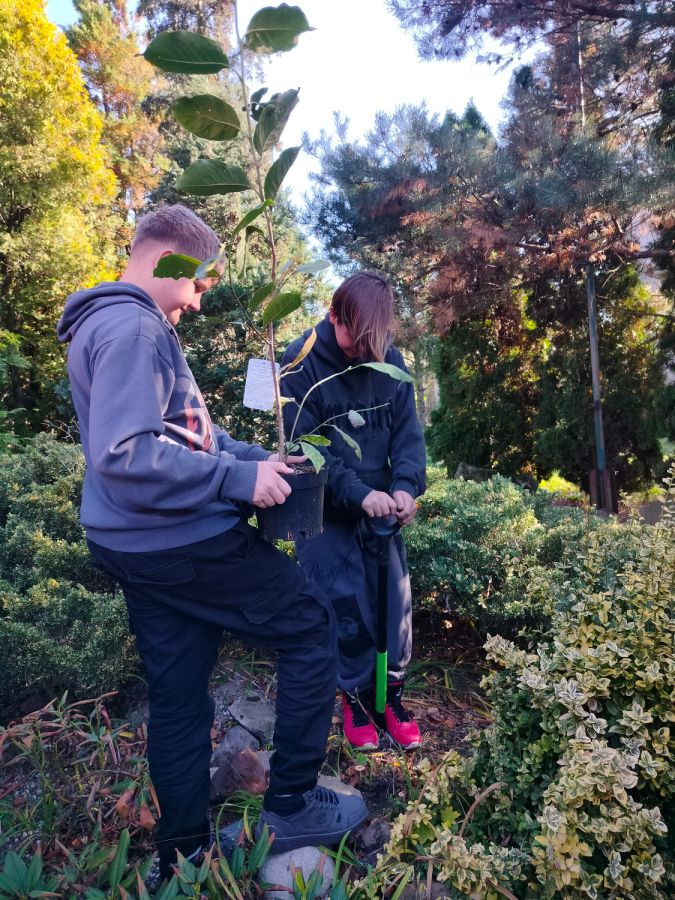 IMG20241018095924 IMG20241018095924