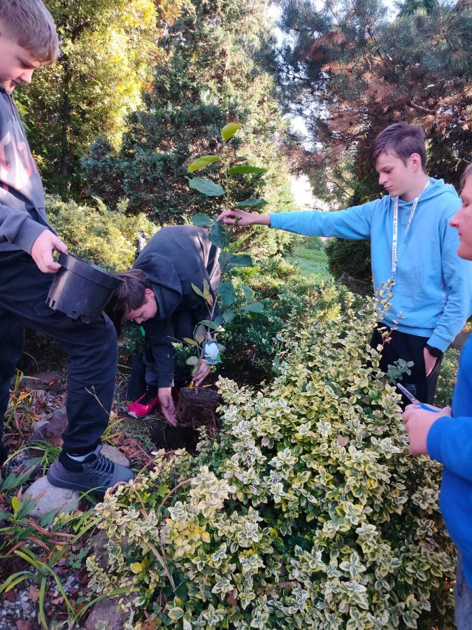 IMG20241018100106 IMG20241018100106