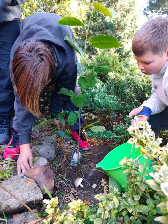 IMG20241018100447 IMG20241018100447