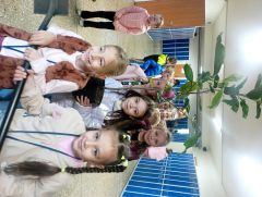 IMG 20241017 104534 IMG 20241017 104534