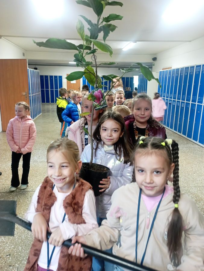 IMG 20241017 104534 IMG 20241017 104534