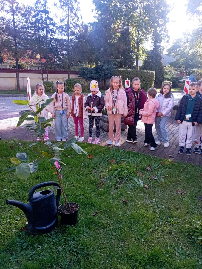 IMG 20241017 105045 IMG 20241017 105045