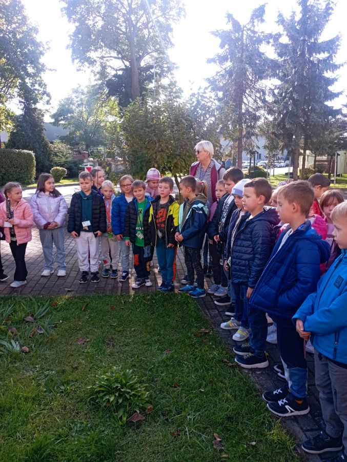 IMG 20241017 105048 IMG 20241017 105048