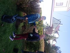 IMG 20241017 105158 IMG 20241017 105158