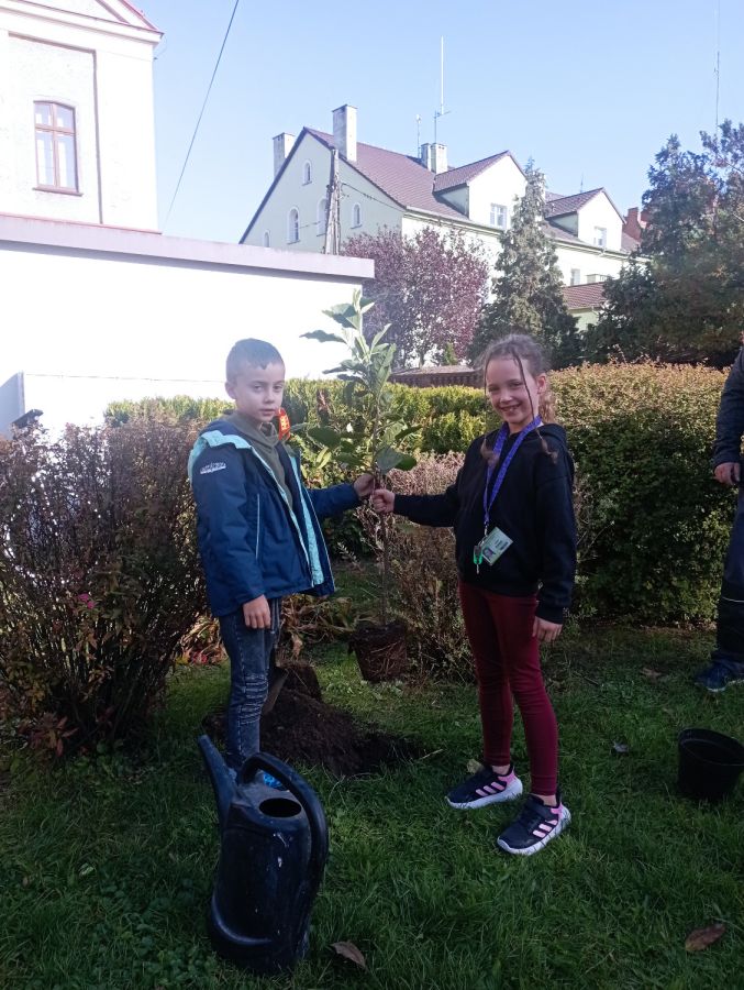 IMG 20241017 105158 IMG 20241017 105158