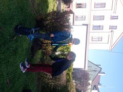 IMG 20241017 105204 IMG 20241017 105204