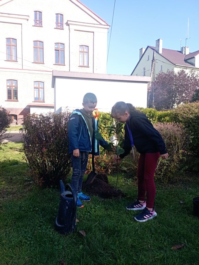 IMG 20241017 105204 IMG 20241017 105204